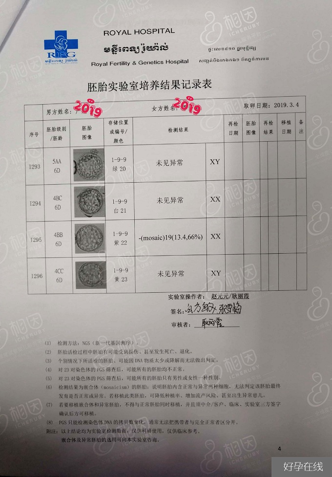 柬埔寨试管婴儿胚胎检测报告