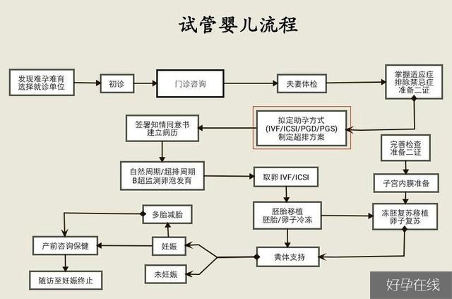 试管婴儿降调-促排-取卵-移植流程（完整版）