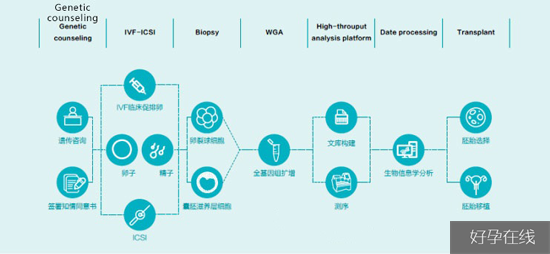 第三代试管婴儿（PGD/PGS）检测流程