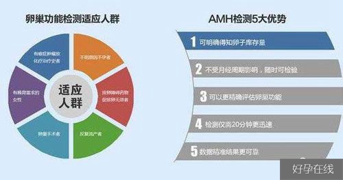 amh卵巢功能检查