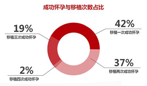 成功怀孕与移植次数占比