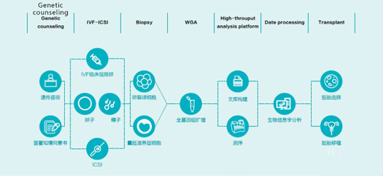 第三代试管婴儿（PGD/PGS）检测流程图
