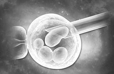 泰国试管婴儿取几个卵子，才能怀孕